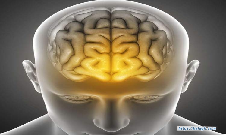 عشر قواعد للعقلية الناجحة